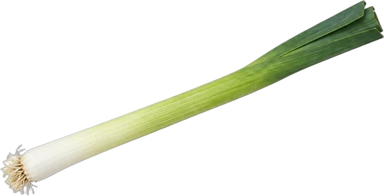 A whole leek